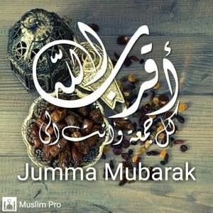 Meet your Posher, Amina